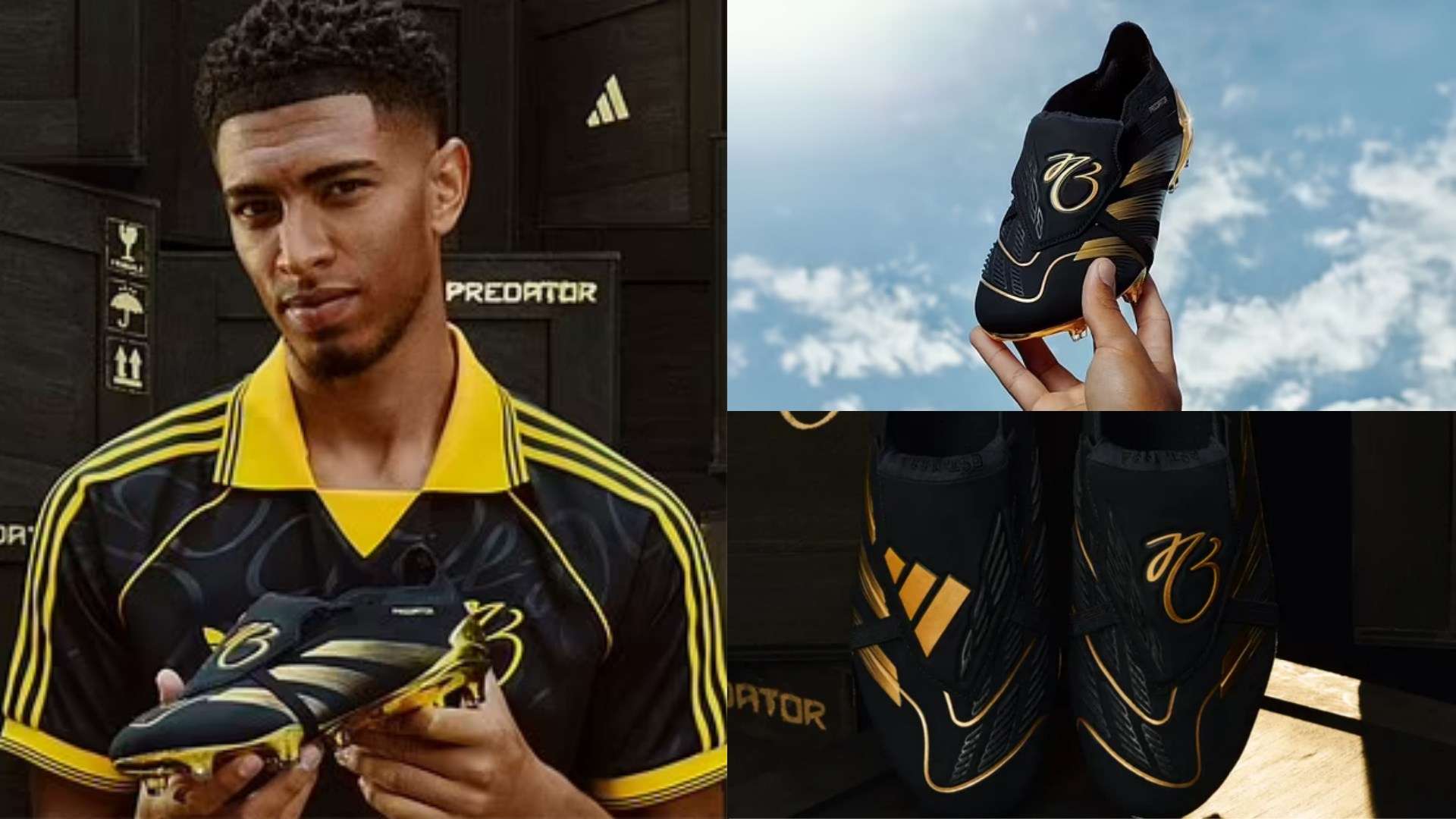 也有一些理 也有一些理